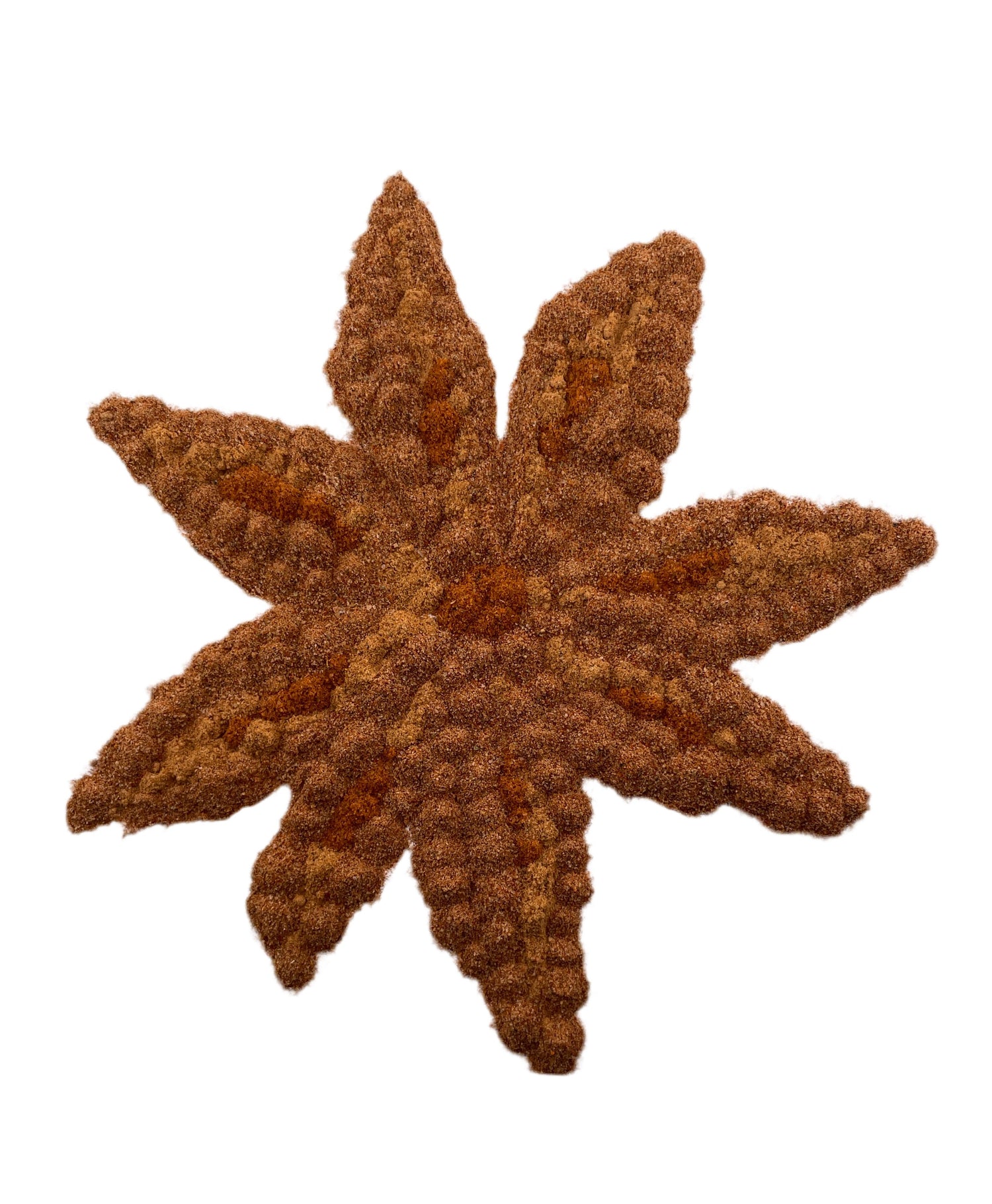 Anise spice art